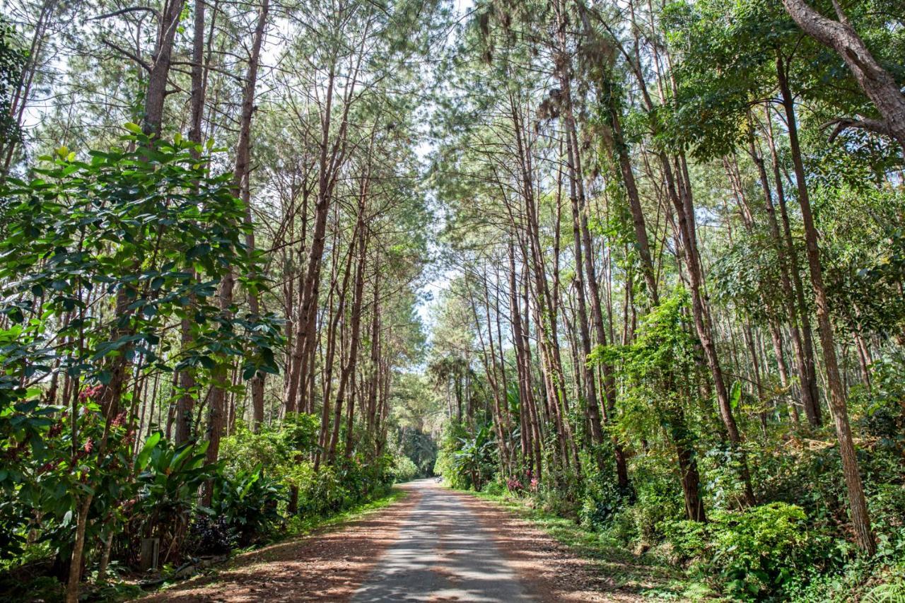 Khaokhoherbary Organicfarm&Resort Khao Kho Exterior photo